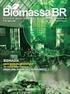 O uso da biomassa para energia. Javier Farago Escobar PhD. Pesquisador do GBio/IEE/USP Doutor em Energia