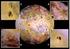 Satélites Irregulares de Júpiter: Configurações propícias do processo de captura de asteróides binários