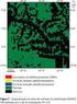 Configurações Espaciais do Processo de Desflorestamento da Amazônia
