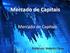 DISCIPLINA MERCADO DE CAPITAIS SISTEMA FINANCEIRO NACIONAL PROFESSOR: JOSÉ RIOS RODARTE