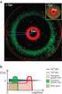 Direct and indirect selection and index selection in broiler line