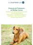 Protocolo de Tratamento do Pênfigo Canino