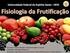 Apresentação da disciplina Fisiologia Vegetal