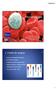Hematologia. 1. Coleta de sangue 14/08/2014. Coleta com anticoagulante adequado. Identificação do paciente. Rotulagem prévia dos frascos de coleta.