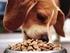 Programa nutricional para cães e gatos