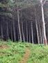 Preço Máximo de Terras para Reflorestamento - sua Importância na Viabilização de Empreendimentos Florestais -