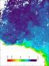 Navegação de imagens NOAA/AVHRR e estimativas de temperatura de superfície