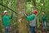 A certificação florestal segundo o FOREST STEWARDSHIP COUNCIL