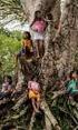 Especial Dia do Índio - a luta dos Munduruku contra as hidrelétricas no rio Tapajós