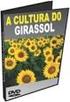 TAMANHO ÓTIMO DE PARCELA PARA A CULTURA DE GIRASSOL EM TRÊS ARRANJOS ESPACIAIS DE PLANTAS 1