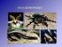 Apresentar as características dos artrópodos hexápodos (insetos) e miriápodos (lacraias e diplópodos)