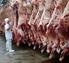 Brasil como maior exportador mundial de carne bovina: a contribuição do melhoramento genético