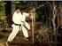 Evidências científicas sobre o soco do karateca no makiwara