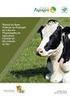 Estudo longitudinal da mastite subclínica e produção de leite em um rebanho mestiço Holandês-Zebu criado em sistema semi-intensivo