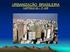 GEOGRAFIA - 2 o ANO MÓDULO 04 URBANIZAÇÃO BRASILEIRA: A DESMETROPOLIZAÇÃO