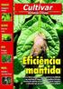 Avaliação dos teores de NPK, proteína e óleo nos grãos de niger, em função das adubações fosfatada e potássica