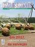 Dendezeiro: Uma planta que promete progresso para a Amazônia.