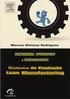 Sistema de Produção Lean Cap 4 Ferramentas Lean