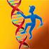 Mecanismos de reparo de DNA