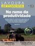 PRODUÇÃO DE ARROZ NO BRASIL. Eng o Agr o. MSc. Valmir Gaedke Menezes Pesquisador e Diretor Técnico IRGA