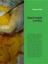 Roteiro de Avaliação das Condições Higiênico-sanitárias de Serviços de Alimentação (RACHS-SA) Nome: Cargo: Data de aplicação:
