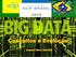 Big Data. Conceitos e a plataforma IBM para Big Data. Information Management. Eduardo Akisue WW DB2/SAP Technical Sales & LA Big Data Focal Point