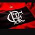 CLUBE DE REGATAS DO FLAMENGO Fundado em 15 de novembro de 1895