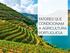 A agricultura portuguesa apresenta uma diversidade significativa em resultado de uma série de fatores físicos e humanos...