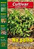 Sobre a palha Tradicional em grãos, o plantio direto ou cultivo com preparo reduzido chega à tomaticultura.