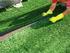 Adubação de manutenção em grama-esmeralda. Fertilization in maintenance of emerald grass