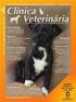 ESTUDO RETROSPECTIVO DE ALTERAÇÕES ESPLÊNICAS EM CANINOS RETROSPECTIVE STUDY OF CANINE SPLENIC DISORDERS