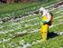 Análise de risco na aplicação manual de agrotóxicos: o caso da fruticultura do litoral sul paraibano