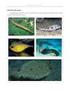 Emprego de diagramas filogenéticos refletindo eventos macroevolutivos em livros didáticos de Biologia para o Ensino Médio no Brasil