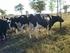 Níveis de suplementação concentrada de vacas leiteiras alimentadas com cana-de-açúcar