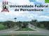 UNIVERSIDADE FEDERAL DE PERNAMBUCO. Relatório Perfil Curricular
