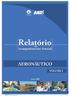 Relatório AERONÁUTICO VOLUME I. Março 2008