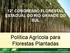 12 CONGRESSO FLORESTAL ESTADUAL DO RIO GRANDE DO SUL. Política Agrícola para Florestas Plantadas