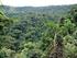 Regeneração natural, Floresta Ombrófila Densa, floresta secundária, corte de cipós e tratamento silvicultural.