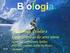 Bioquímica Celular (parte II) Lipídios Proteínas Vitaminas Ácidos Nucléicos