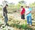 MANIPUEIRA: UM ADUBO ORGÂNICO PARA A AGRICULTURA FAMILIAR
