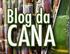 Açúcar/etanol: Revisão da safra brasileira 2016/17 30 de agosto de 2016