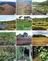 ARTIGO. Riqueza e composição de filicíneas e licófitas em um hectare de Floresta Ombrófila Mista no Rio Grande do Sul, Brasil