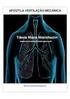 VARIAÇÕES DA TÉCNICA DA TRAQUEOSTOMIA: UMA ABORDAGEM ATUAL VARIATION OF TRACHEOSTOMY TECHINIQUES: A NEW APROACH