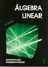 INTRODUÇÃO AO ESTUDO DA ÁLGEBRA LINERAR Luiz Francisco da Cruz Departamento de Matemática Unesp/Bauru CAPÍTULO 2 ESPAÇOS VETORIAIS