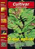 CARACTERIZAÇÃO DE FAMÍLIAS F 4 DE ALFACE DE FOLHAS LISAS QUANTO À HOMOZIGOSE PARA RESISTÊNCIA À Meloidogyne incognita