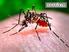 Epidemiológico. Boletim. Monitoramento dos casos de dengue e febre de chikungunya até a Semana Epidemiológica 6, 2015
