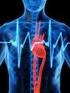 Modelos do sistema cardiovascular para apoio ao diagnóstico