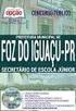 Prefeitura do Município de Foz do Iguaçu SECRETARIA MUNICIPAL DA SAÚDE DIRETORIA DE ATENÇÃO BÁSICA