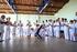 A PRÁTICA DA CAPOEIRA EM ÂMBITO ESCOLAR