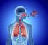 Inflammatory process in asthma and allergic rhinitis